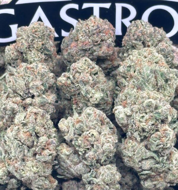 Neon Gelato