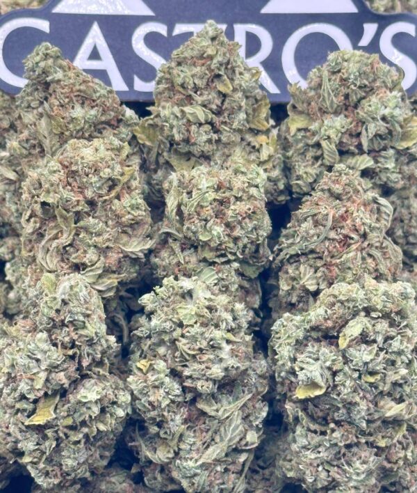 Razzle Kush