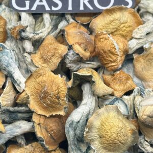 penis.envy Penis Envy (shrooms)