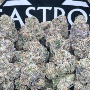 bcg.bigs Black Cherry Gelato Bigs