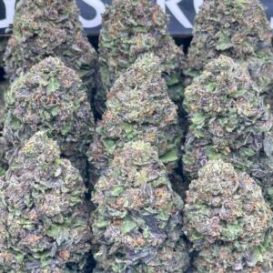 deep.fried.gelato Deep Fried Gelato