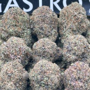 tyson.punchout Tyson Punchout