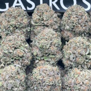 rainbow.sherb Rainbow Sherb